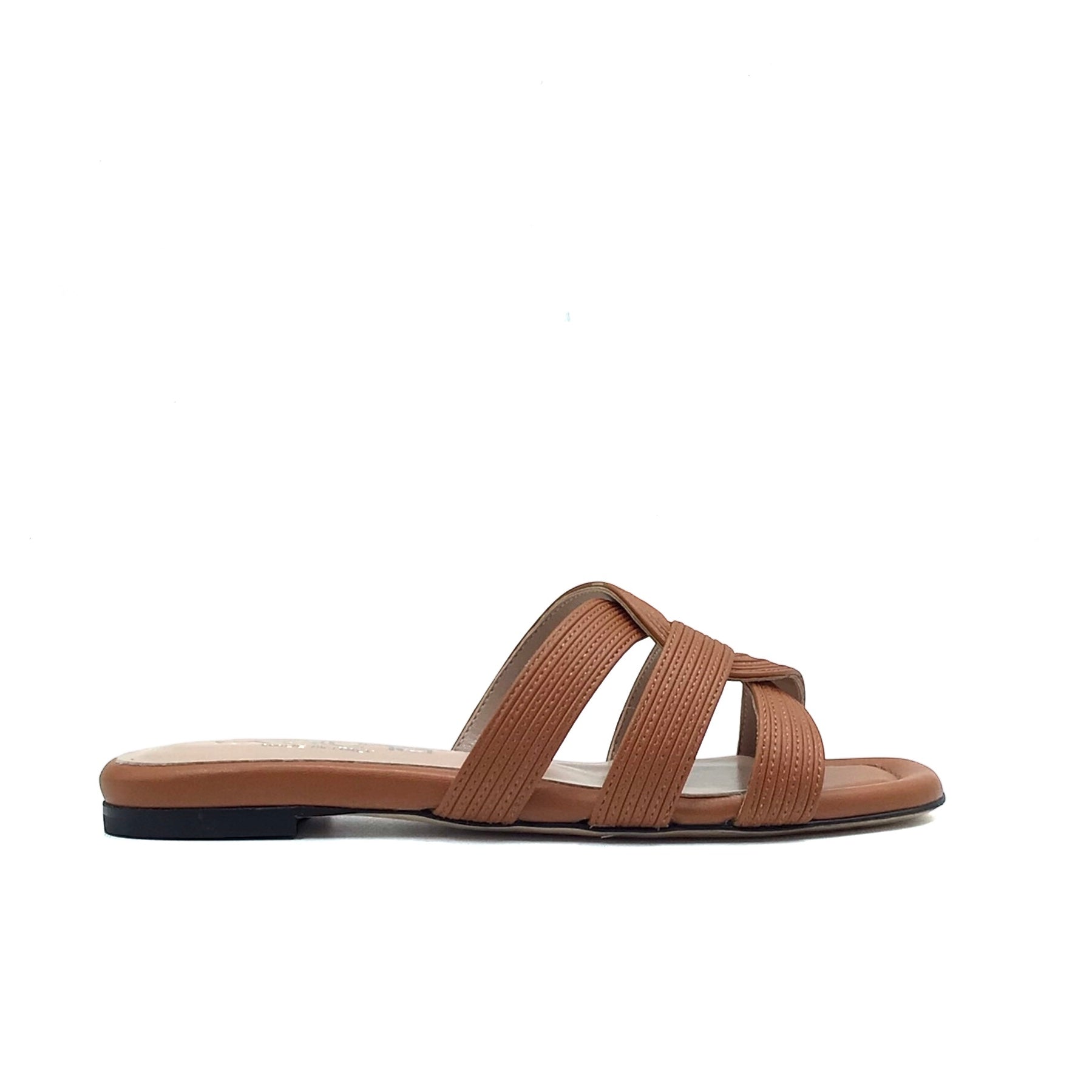 Evaluna 1221 Camel