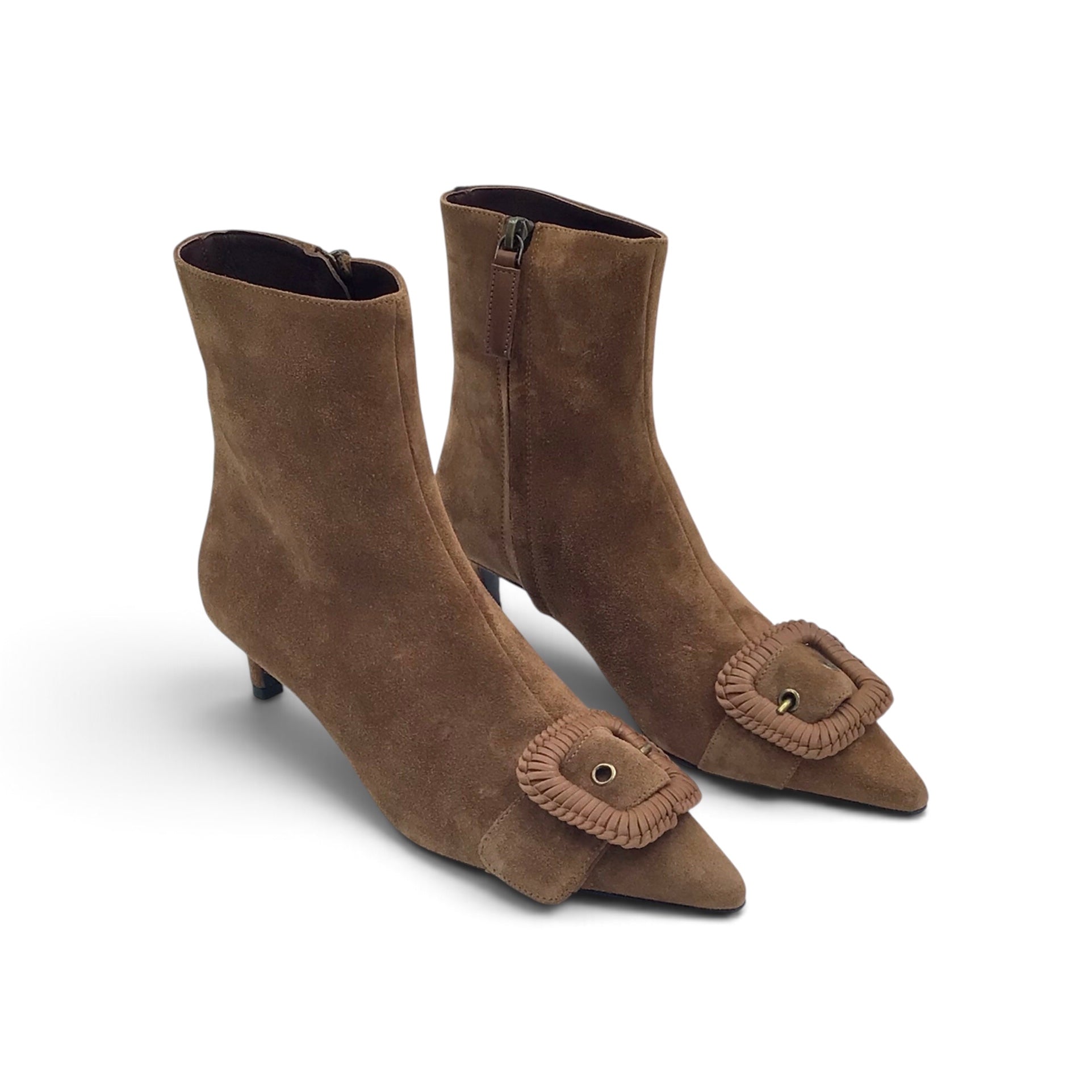 Roberto Festa Eltis Camel