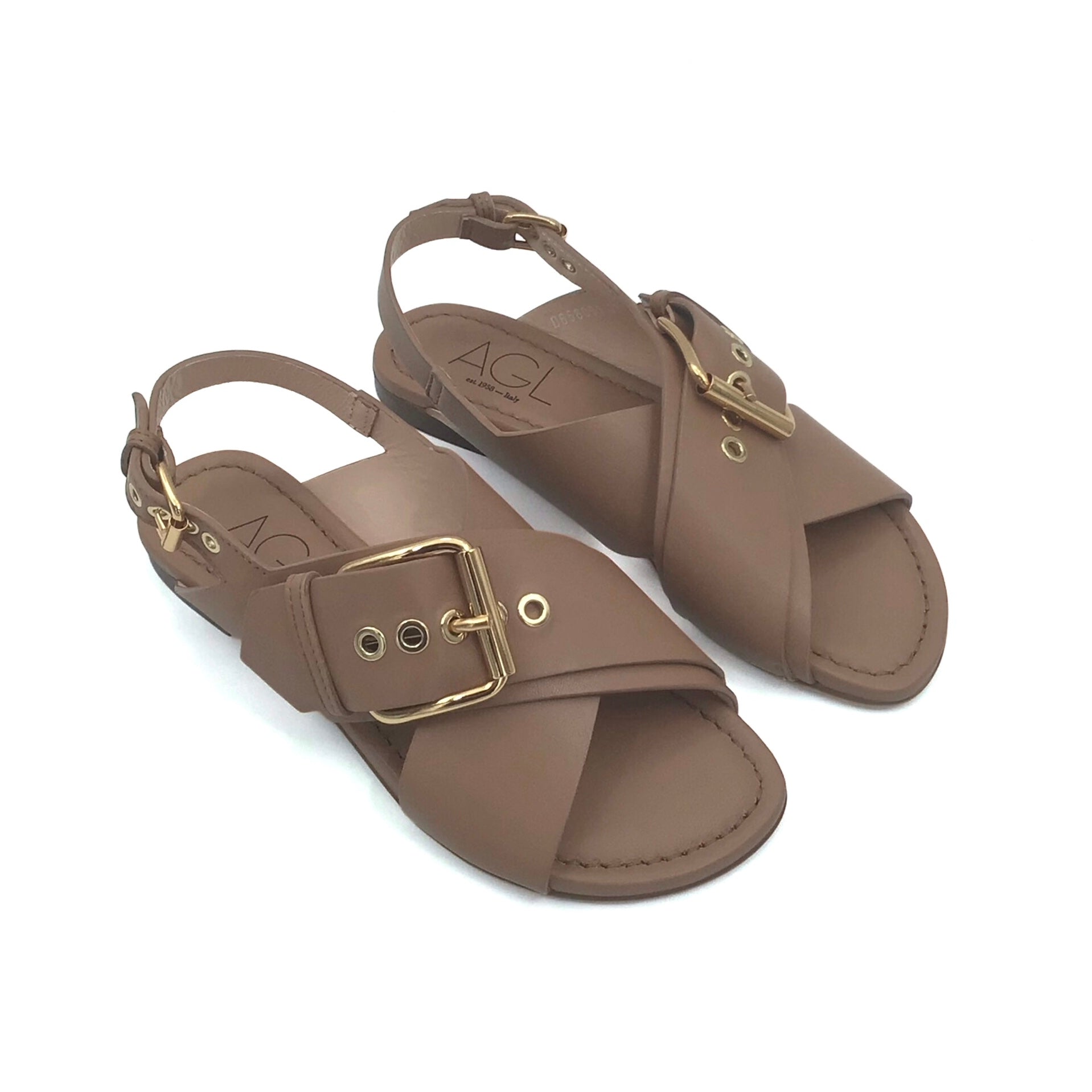 AGL Summer Camel