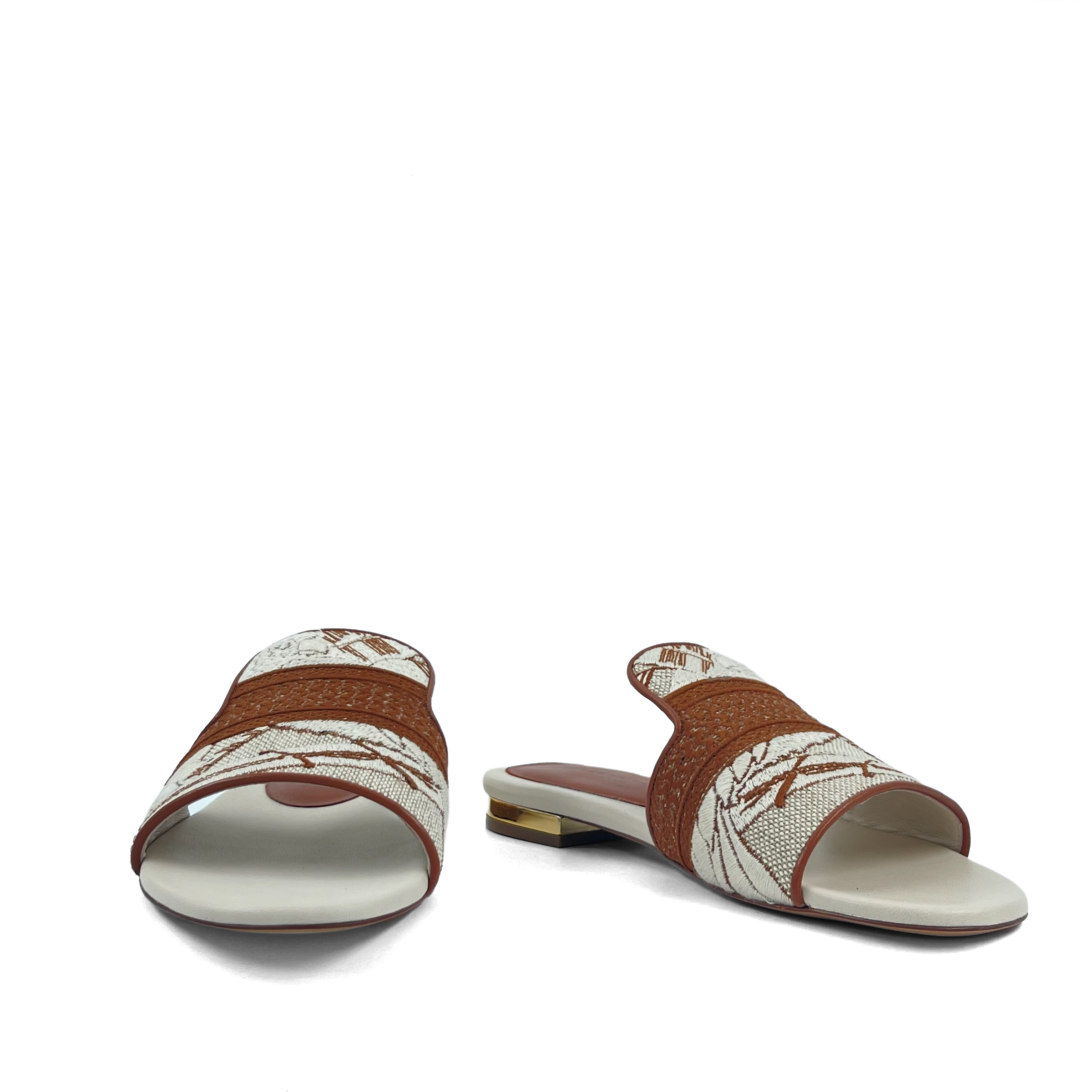Roberto Festa Olene Camel