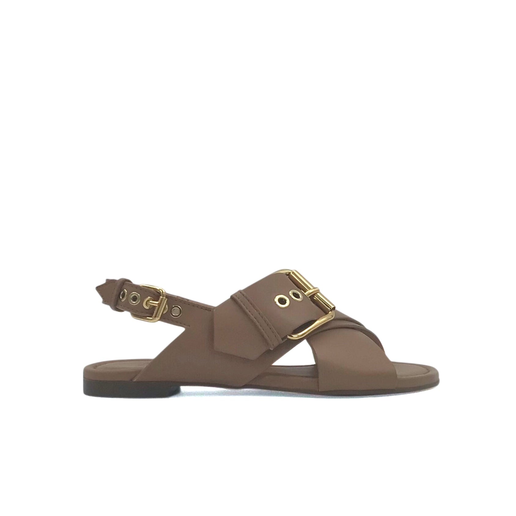 AGL Summer Camel