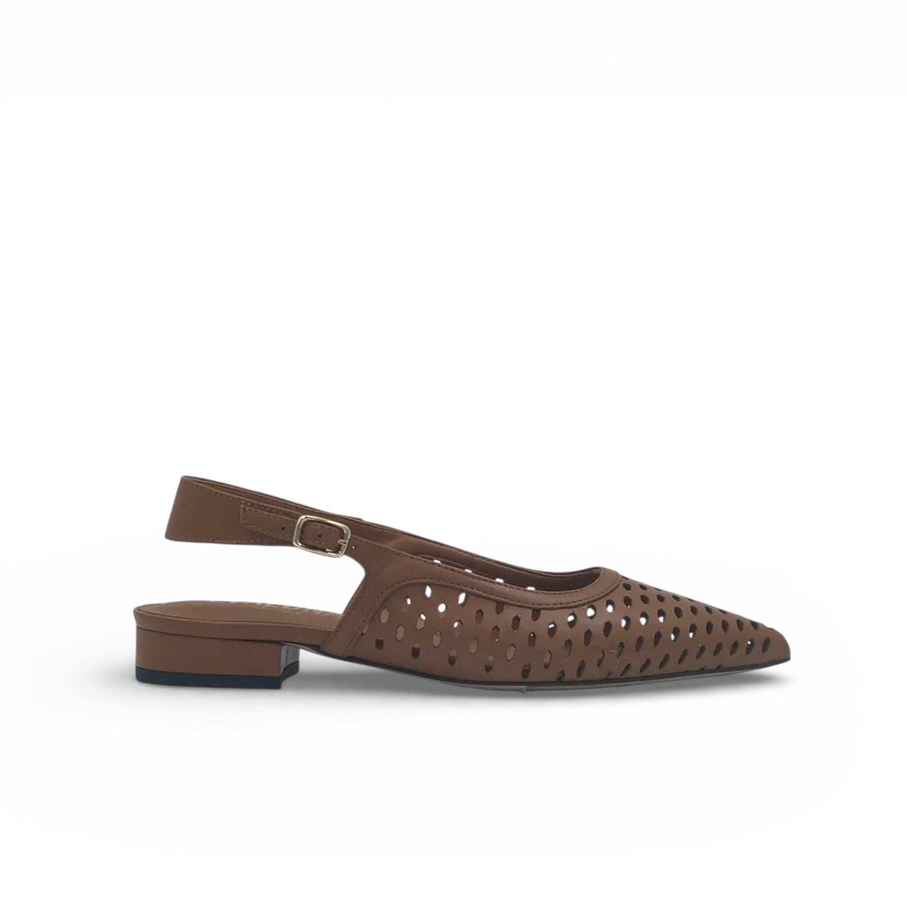 Evaluna 312 Marron