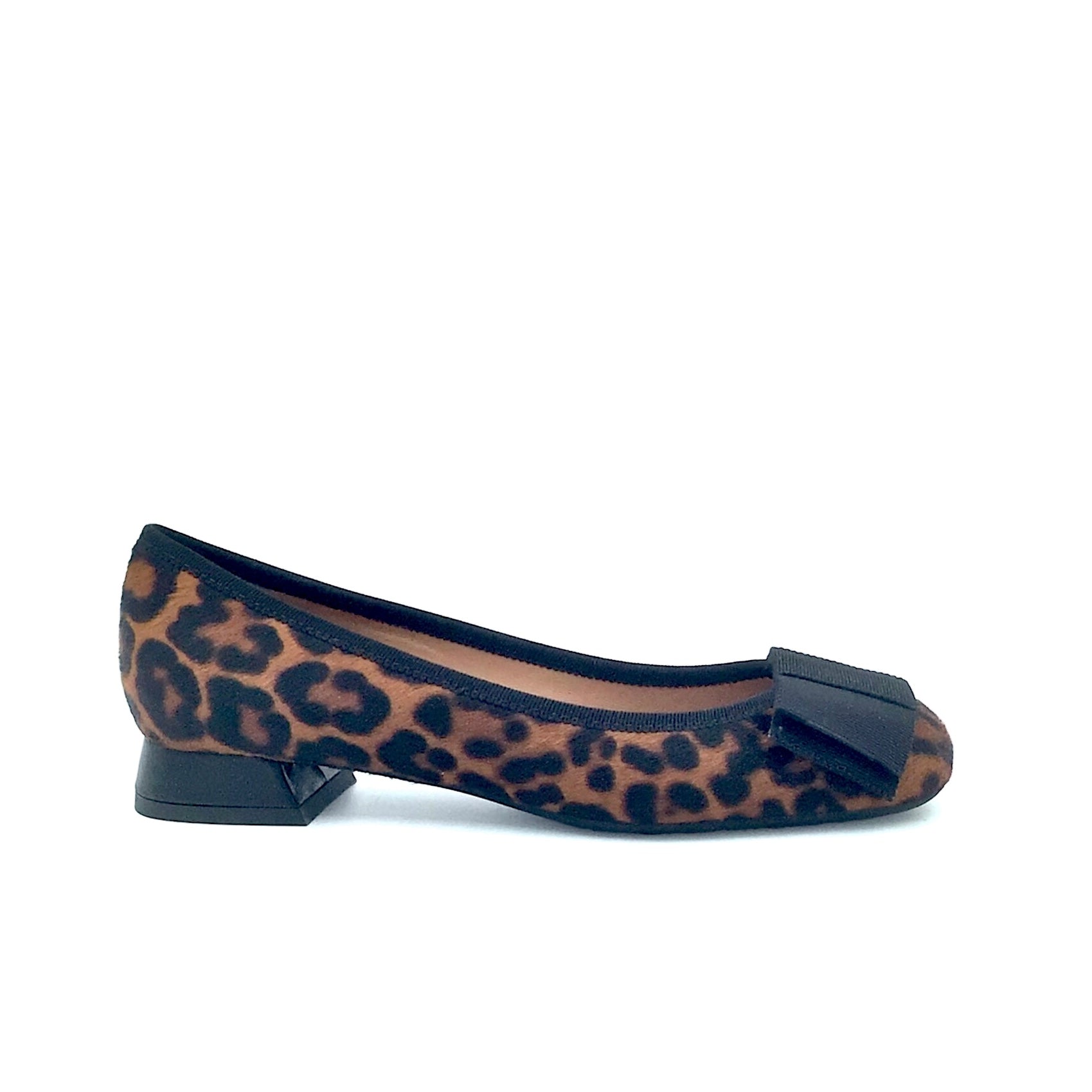 Roberto Festa Sisko Leopard