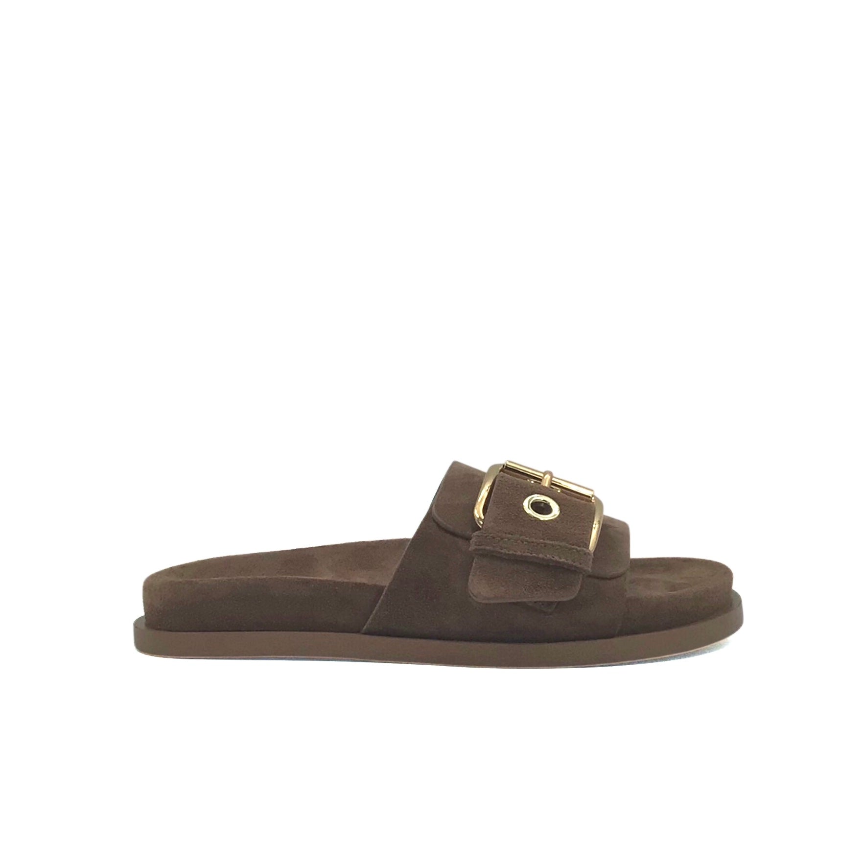 AGL Cristina Camel