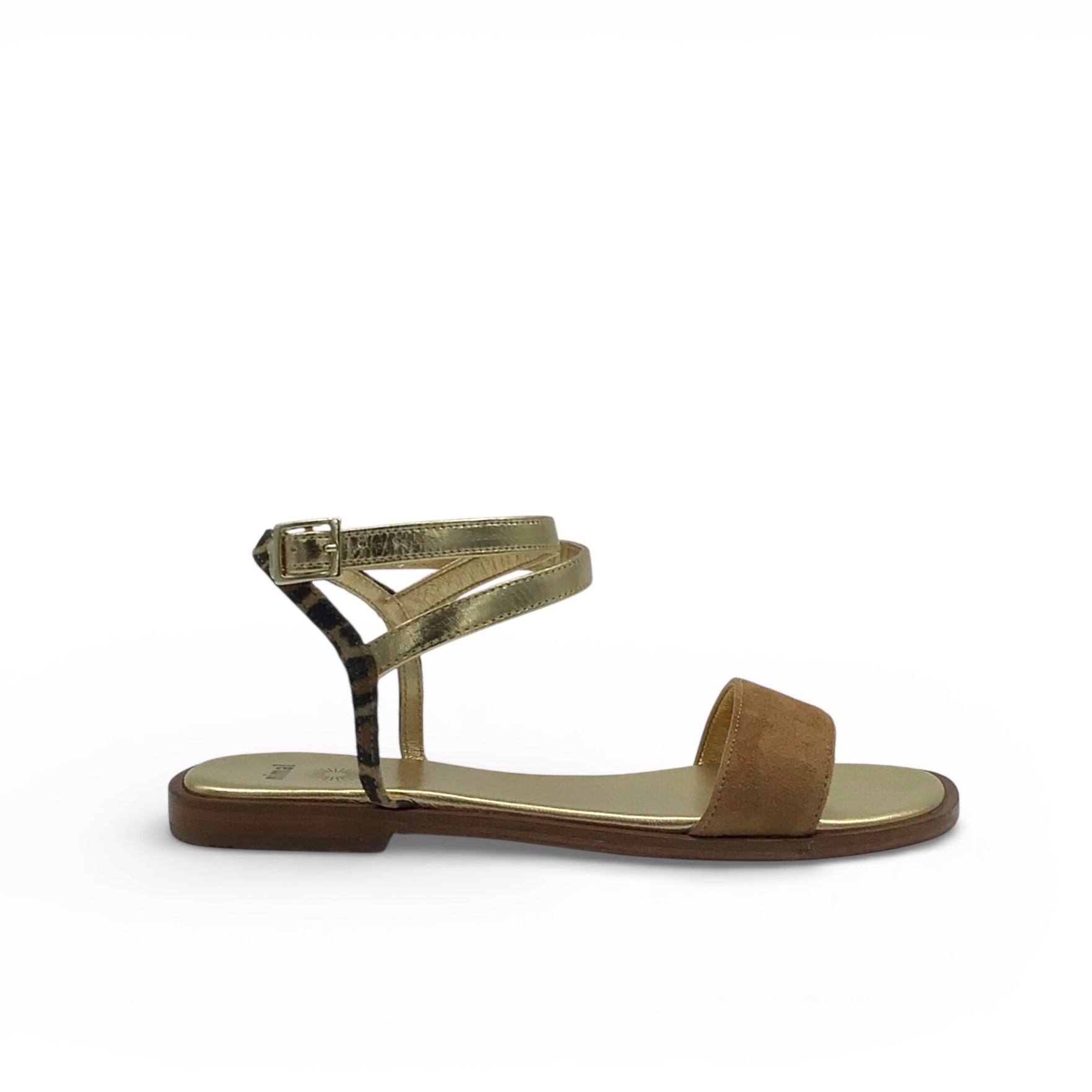 Nimal Moma Camel