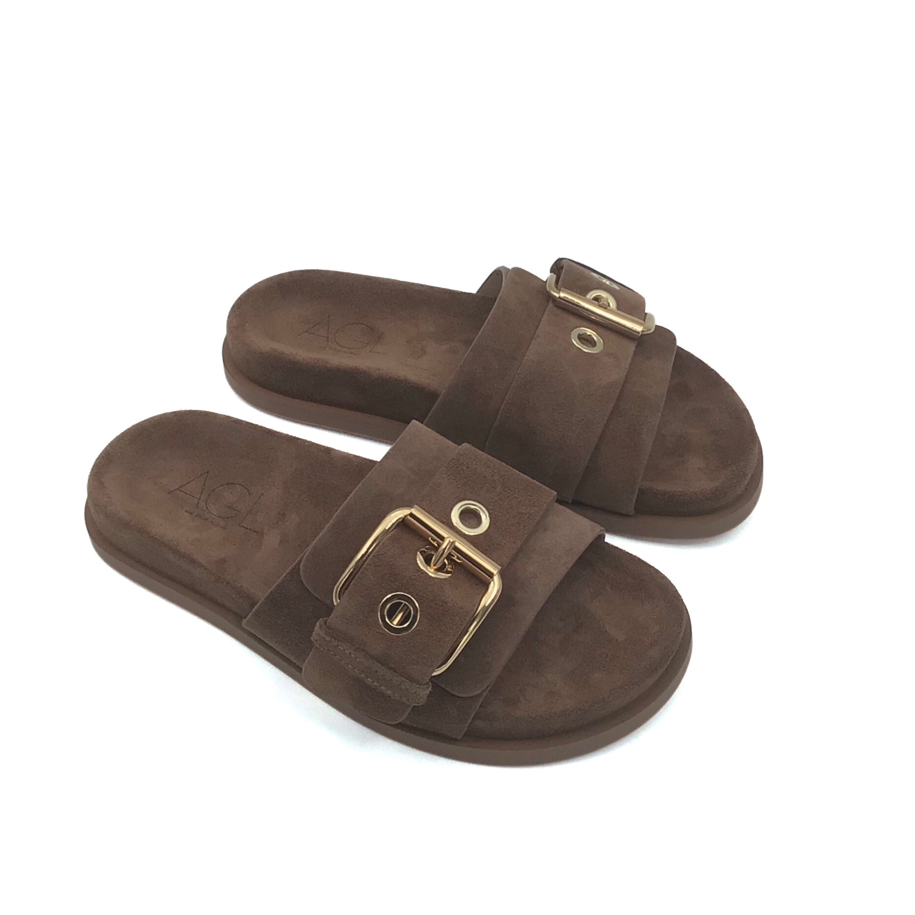 AGL Cristina Camel